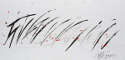 SUN-LIAN-GANG_calligrafia-aerea